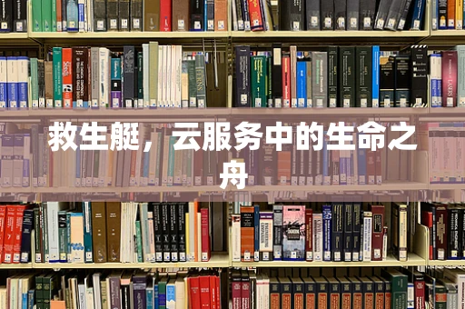 救生艇，云服务中的生命之舟