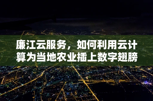 廉江云服务，如何利用云计算为当地农业插上数字翅膀？