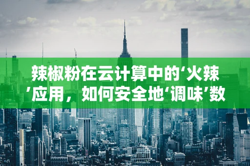 辣椒粉在云计算中的‘火辣’应用，如何安全地‘调味’数据？
