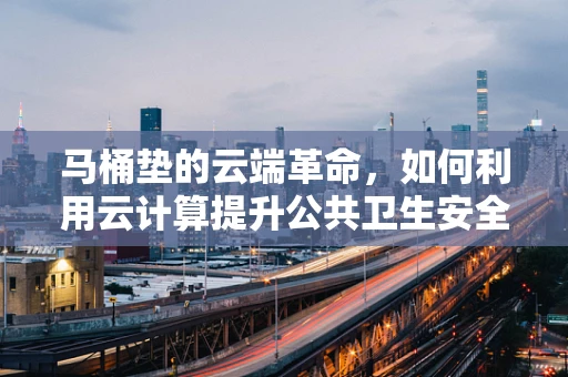 马桶垫的云端革命，如何利用云计算提升公共卫生安全？