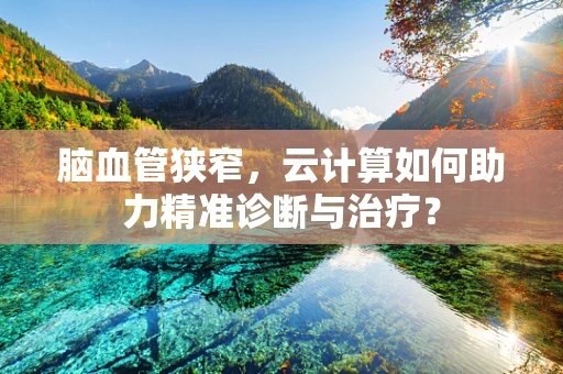 脑血管狭窄，云计算如何助力精准诊断与治疗？