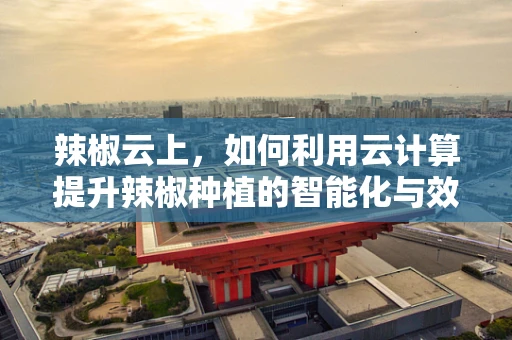 辣椒云上，如何利用云计算提升辣椒种植的智能化与效率？