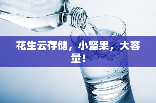 花生云存储，小坚果，大容量！
