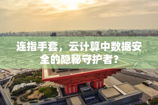 连指手套，云计算中数据安全的隐秘守护者？