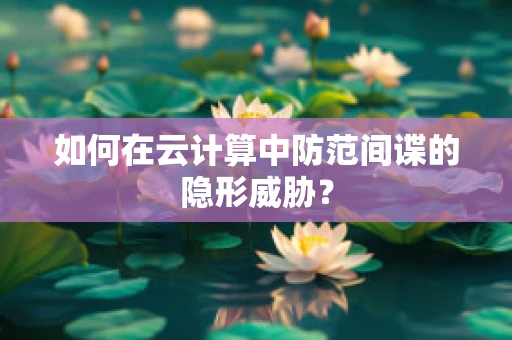 如何在云计算中防范间谍的隐形威胁？