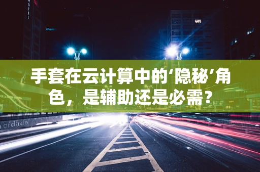 手套在云计算中的‘隐秘’角色，是辅助还是必需？