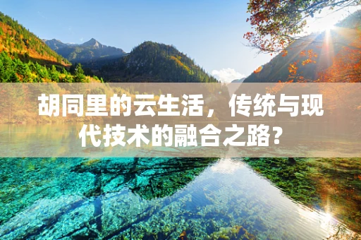 胡同里的云生活，传统与现代技术的融合之路？