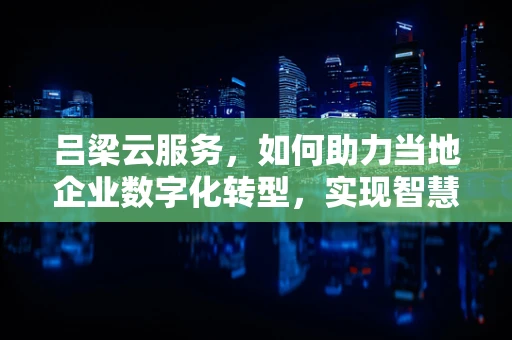 吕梁云服务，如何助力当地企业数字化转型，实现智慧城市新飞跃？