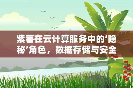 紫薯在云计算服务中的‘隐秘’角色，数据存储与安全的天然卫士