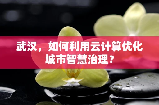 武汉，如何利用云计算优化城市智慧治理？