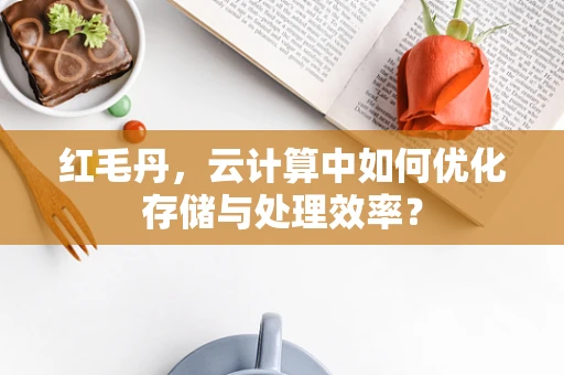 红毛丹，云计算中如何优化存储与处理效率？