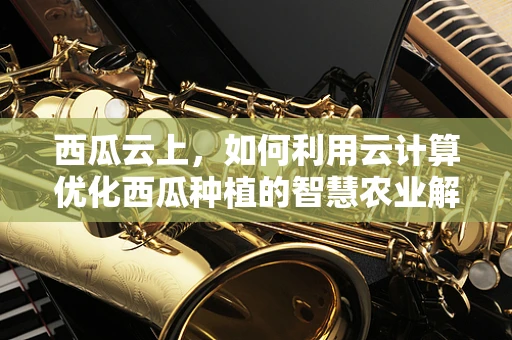 西瓜云上，如何利用云计算优化西瓜种植的智慧农业解决方案？