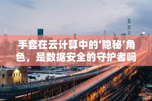 手套在云计算中的‘隐秘’角色，是数据安全的守护者吗？