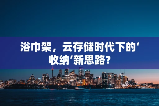 浴巾架，云存储时代下的‘收纳’新思路？