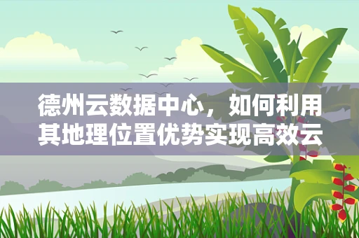 德州云数据中心，如何利用其地理位置优势实现高效云计算服务？