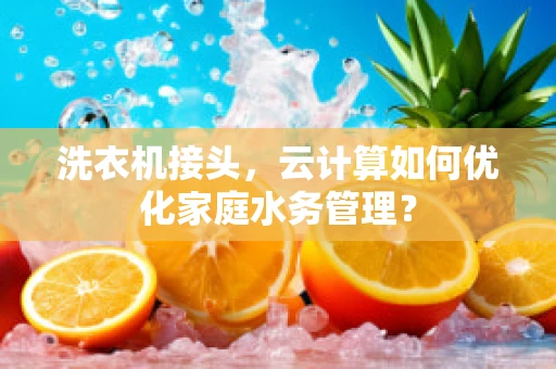 洗衣机接头，云计算如何优化家庭水务管理？