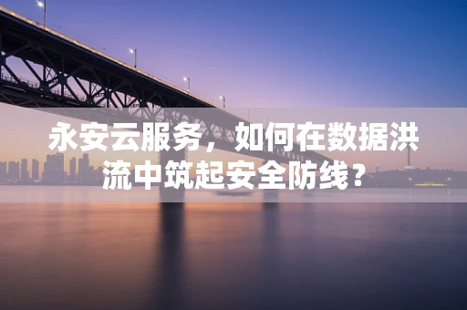 永安云服务，如何在数据洪流中筑起安全防线？