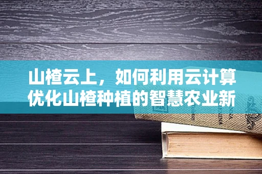 山楂云上，如何利用云计算优化山楂种植的智慧农业新图景？