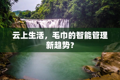 云上生活，毛巾的智能管理新趋势？