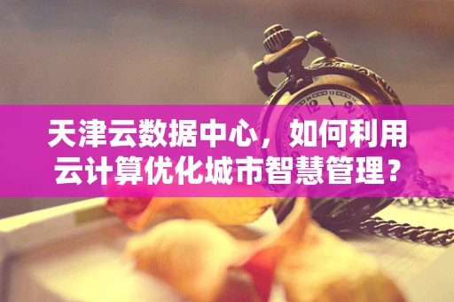 天津云数据中心，如何利用云计算优化城市智慧管理？