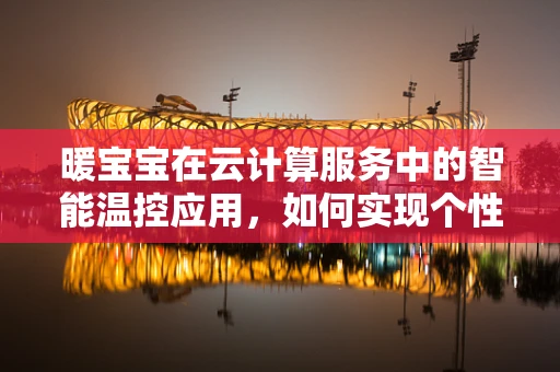 暖宝宝在云计算服务中的智能温控应用，如何实现个性化温暖体验？