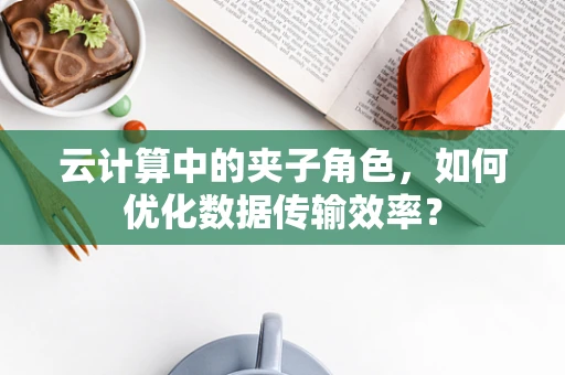云计算中的夹子角色，如何优化数据传输效率？