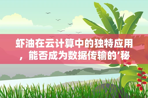 虾油在云计算中的独特应用，能否成为数据传输的‘秘密武器’？