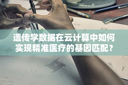 遗传学数据在云计算中如何实现精准医疗的基因匹配？