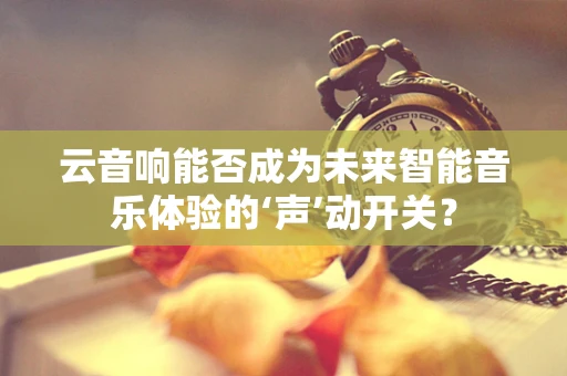 云音响能否成为未来智能音乐体验的‘声’动开关？