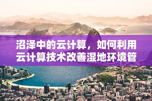 沼泽中的云计算，如何利用云计算技术改善湿地环境管理？
