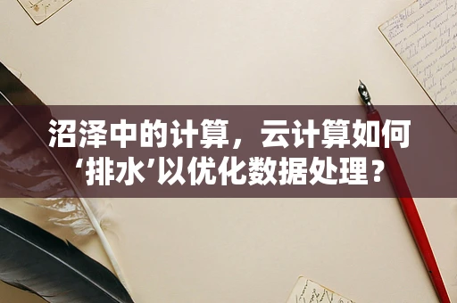 沼泽中的计算，云计算如何‘排水’以优化数据处理？
