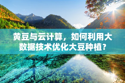 黄豆与云计算，如何利用大数据技术优化大豆种植？
