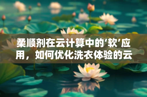 柔顺剂在云计算中的‘软’应用，如何优化洗衣体验的云端智慧？