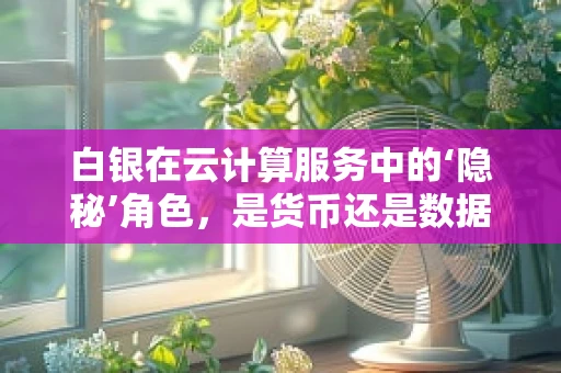 白银在云计算服务中的‘隐秘’角色，是货币还是数据存储的‘新贵’？