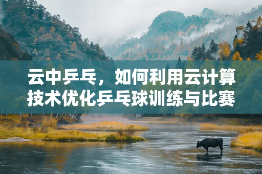 云中乒乓，如何利用云计算技术优化乒乓球训练与比赛分析？
