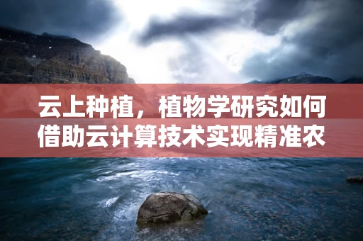 云上种植，植物学研究如何借助云计算技术实现精准农业？