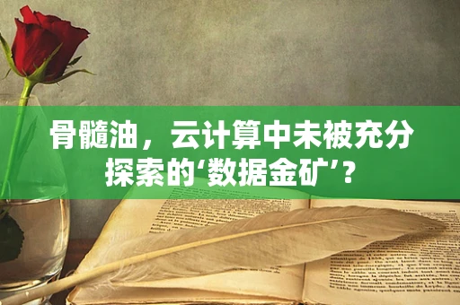 骨髓油，云计算中未被充分探索的‘数据金矿’？