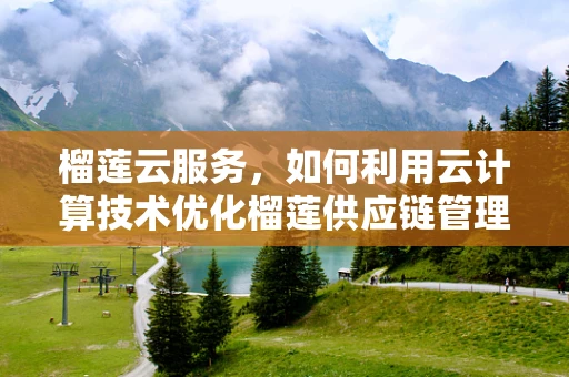 榴莲云服务，如何利用云计算技术优化榴莲供应链管理？