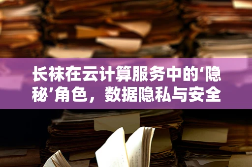 长袜在云计算服务中的‘隐秘’角色，数据隐私与安全的微小守护者