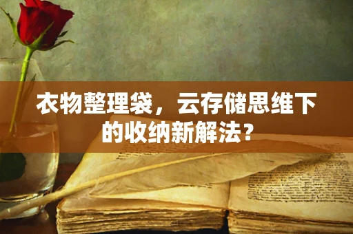 衣物整理袋，云存储思维下的收纳新解法？