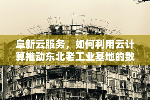 阜新云服务，如何利用云计算推动东北老工业基地的数字化转型？