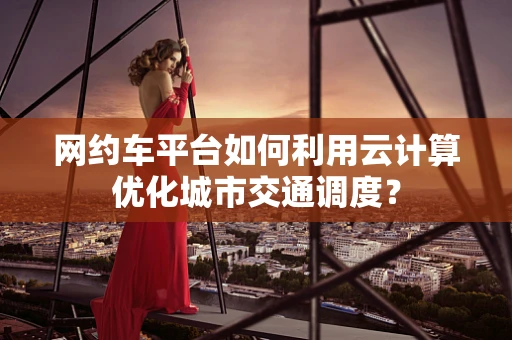 网约车平台如何利用云计算优化城市交通调度？