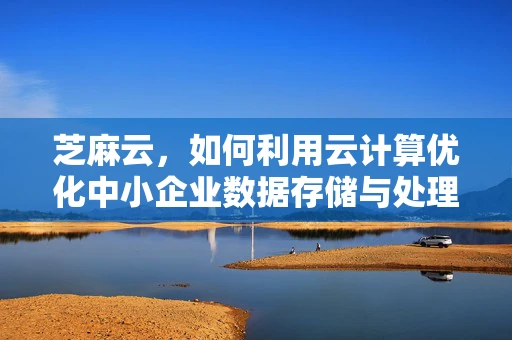 芝麻云，如何利用云计算优化中小企业数据存储与处理？