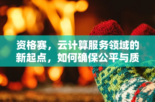 资格赛，云计算服务领域的新起点，如何确保公平与质量？