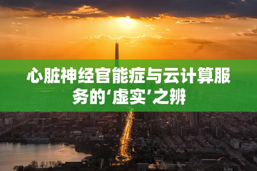 心脏神经官能症与云计算服务的‘虚实’之辨