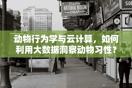 动物行为学与云计算，如何利用大数据洞察动物习性？