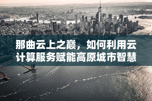 那曲云上之巅，如何利用云计算服务赋能高原城市智慧发展？