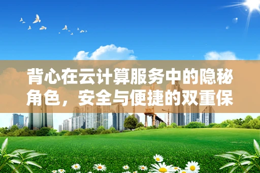 背心在云计算服务中的隐秘角色，安全与便捷的双重保障