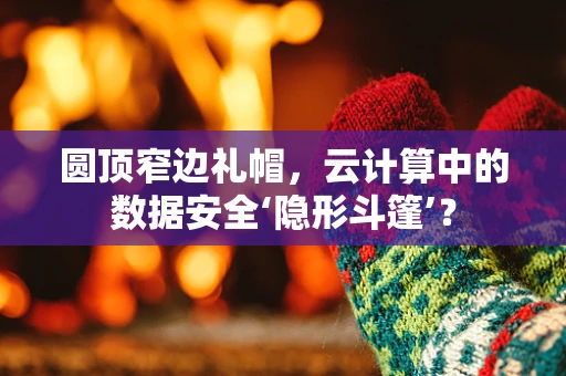 圆顶窄边礼帽，云计算中的数据安全‘隐形斗篷’？