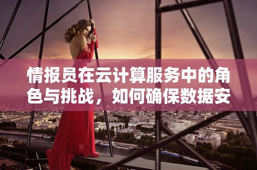情报员在云计算服务中的角色与挑战，如何确保数据安全与高效分析？